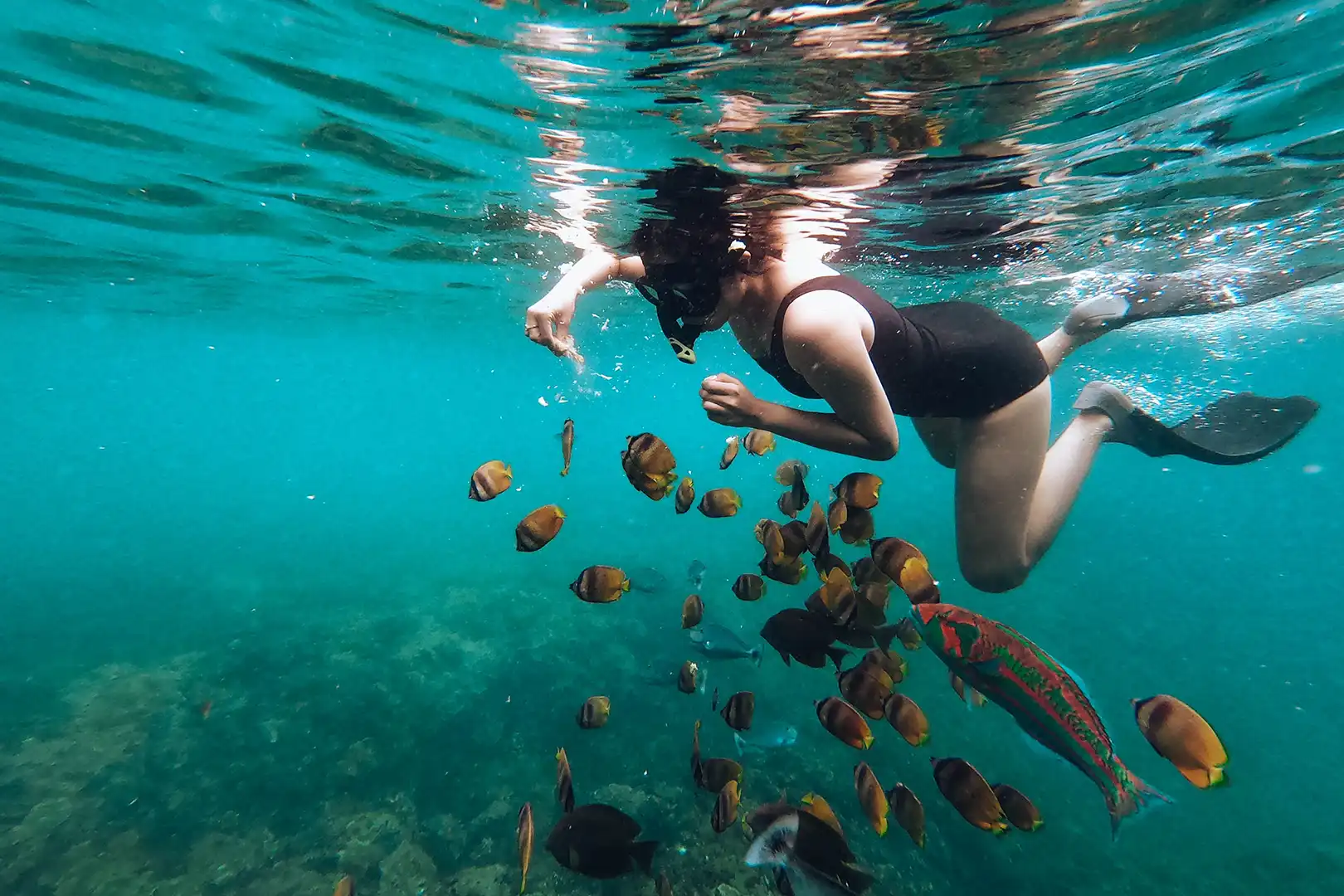 1 Day Trip & Snorkeling Private Tour