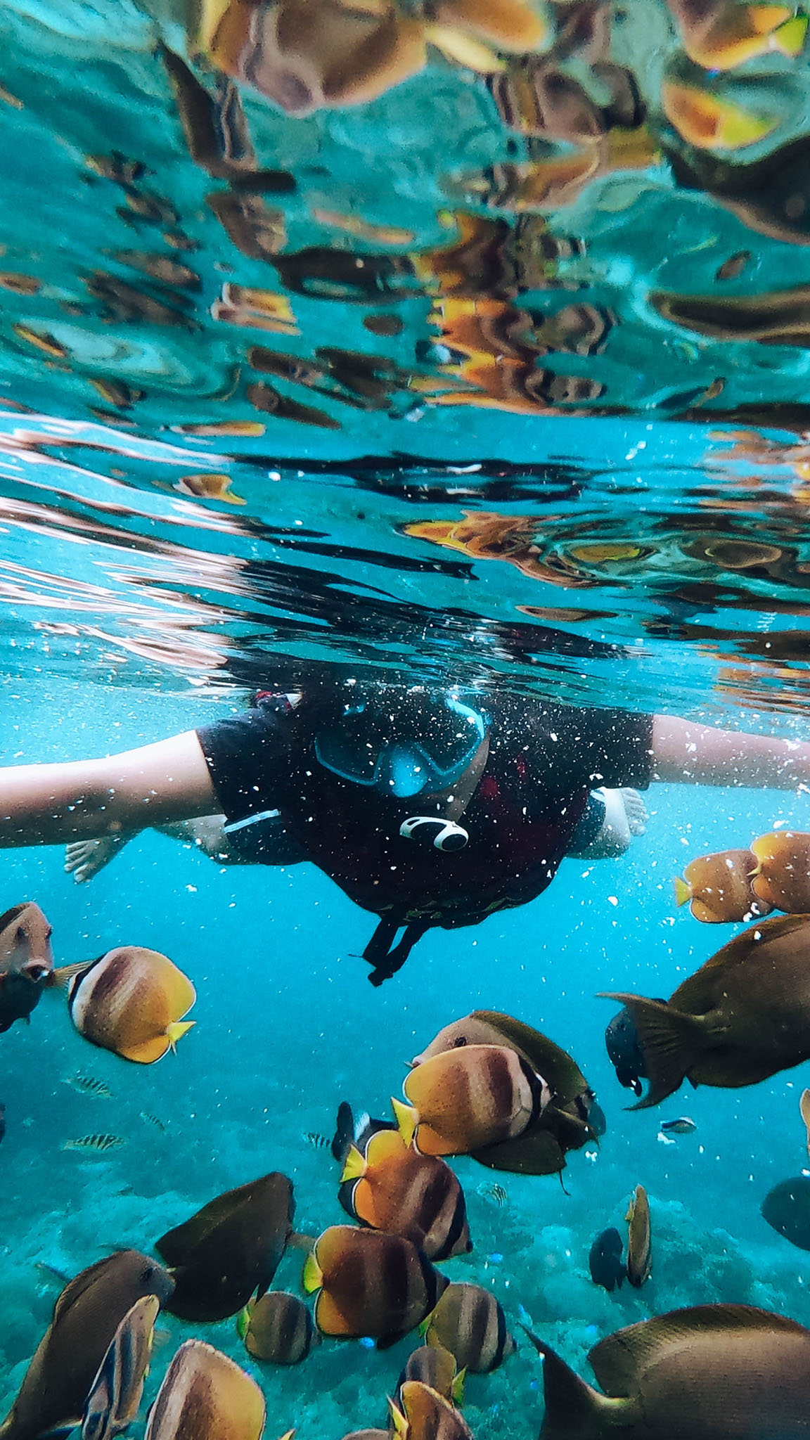 1 Day 1 Night & Snorkeling