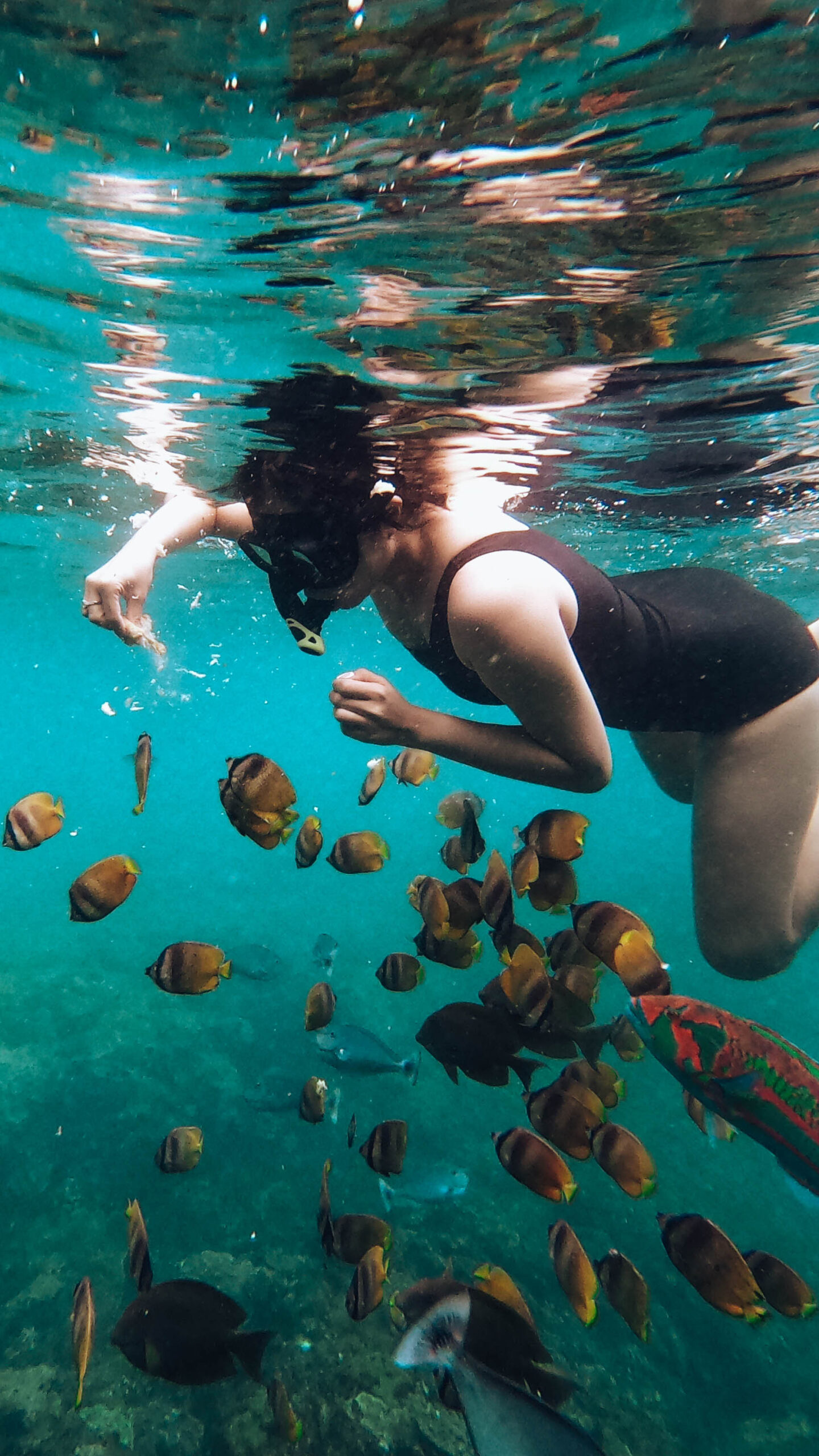 1 Day Trip & Snorkeling Private Tour