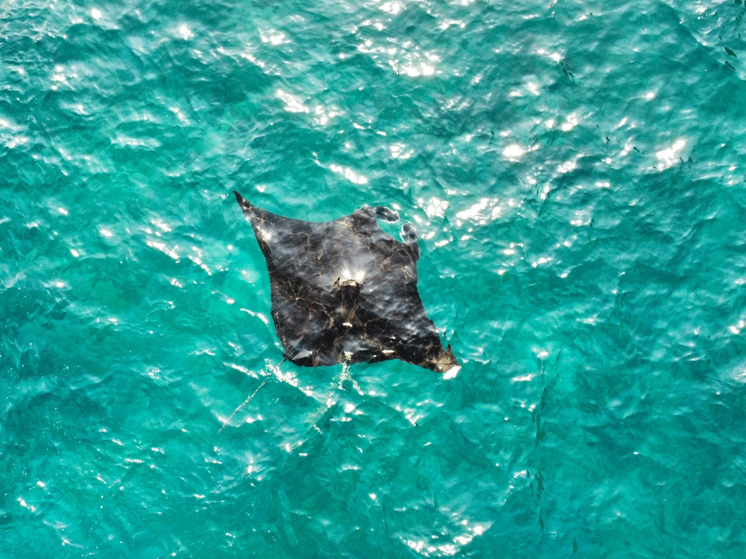 1 Day 1 Night & Snorkeling